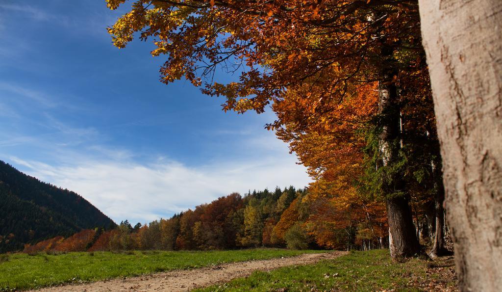 Gasthof Fischerstueberl Rottau Bagian luar foto